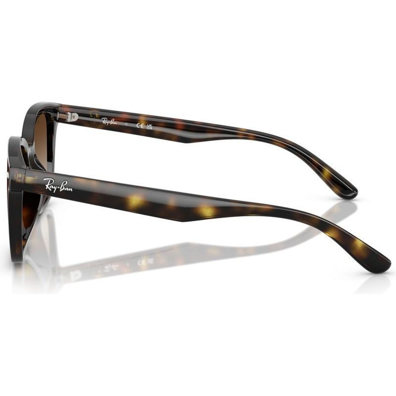 Ray-Ban RB4461D