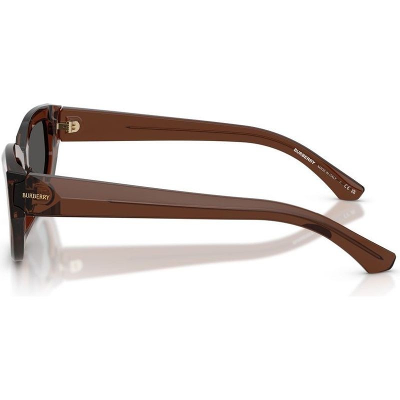 Burberry BE4463D