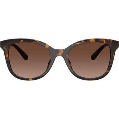 Coach HC8419U - Dark Tortoise/Brown Gradient Polarised Lenses