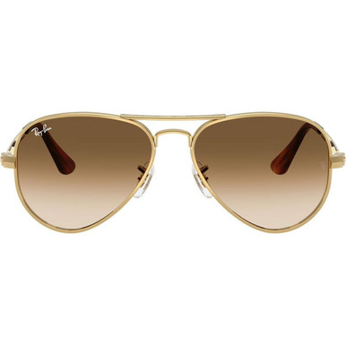 /ray-ban-sunglasses/aviator-max-rb3925-39250015162