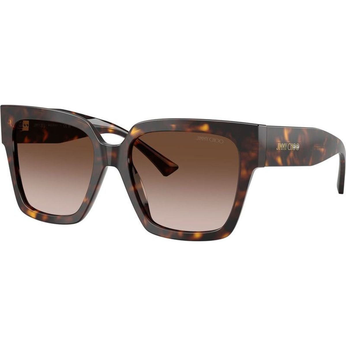 Jimmy Choo JC5047B