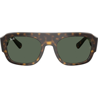 Ray-Ban RB2218 - Havana/Green Lenses