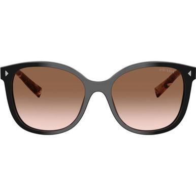 Black/Brown Gradient Lenses