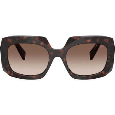 Root Tortoise/Brown Gradient Lenses