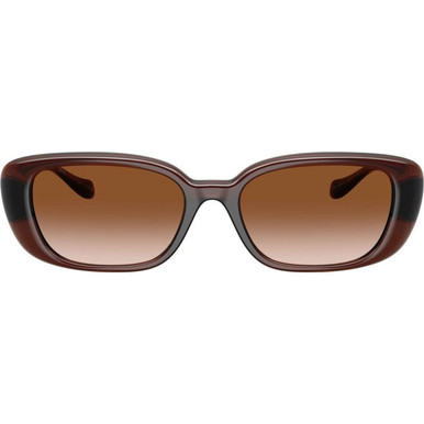 Transparent Brown/Brown Gradient Lenses