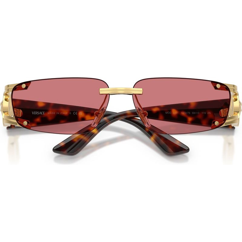 Versace VE2291
