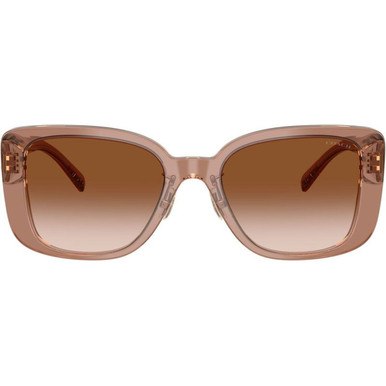 /coach-sunglasses/hc8352-835257791354