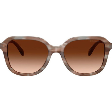 Coach HC8437F - Striated Redwood and Maple/Brown Gradient Lenses