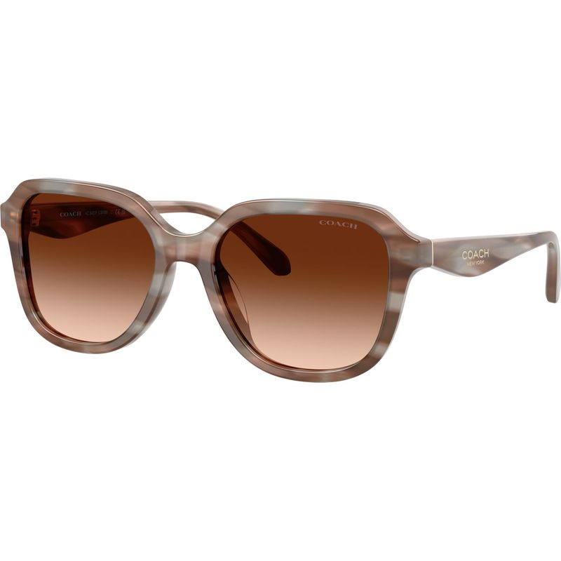 Coach HC8437F