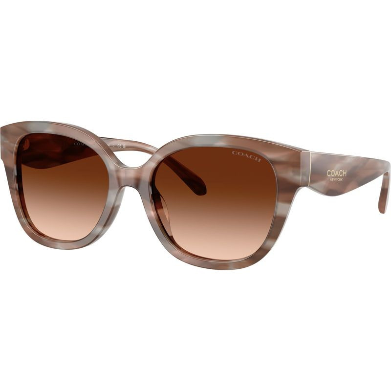 Coach HC8438U