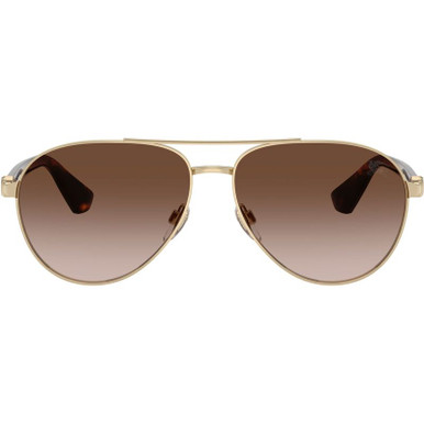 Light Gold/Brown Gradient Lenses