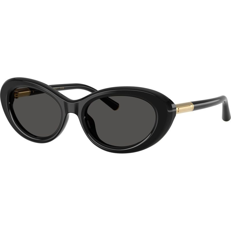 Dolce & Gabbana DG4519