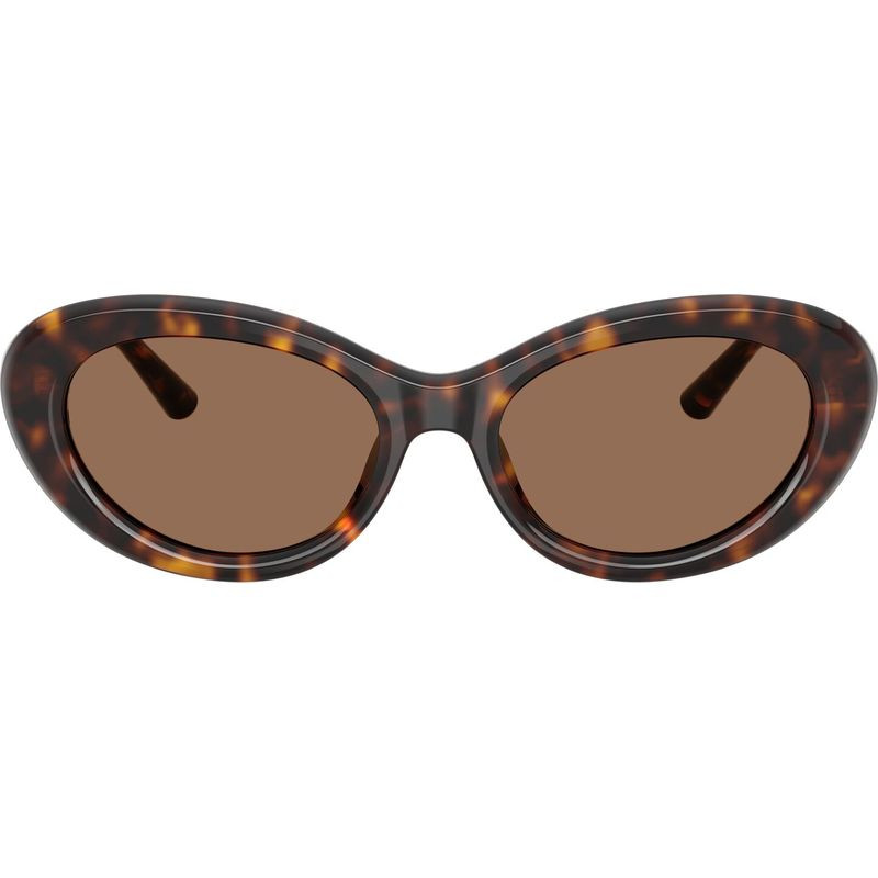 Dolce & Gabbana DG4519