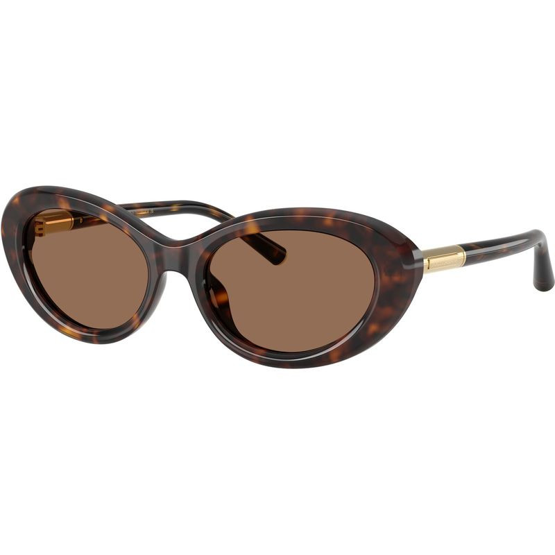 Dolce & Gabbana DG4519