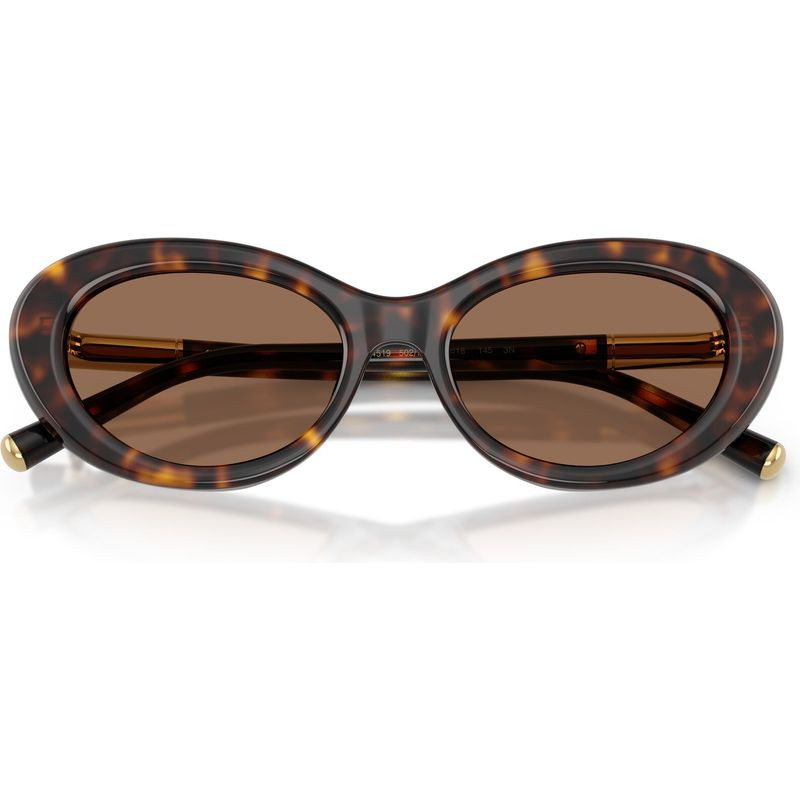 Dolce & Gabbana DG4519