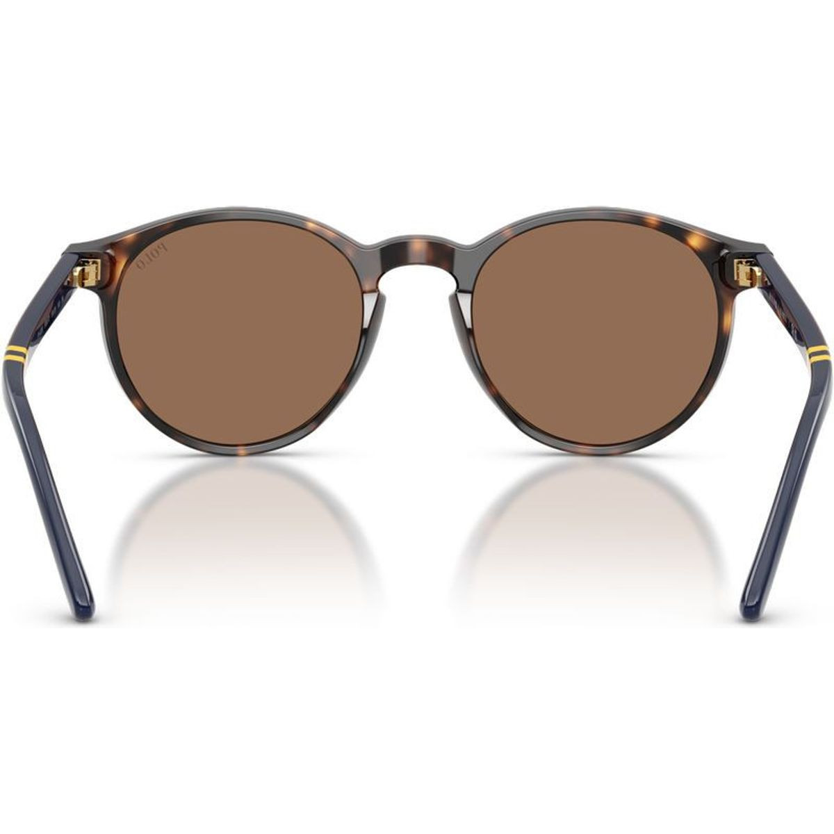 Polo Ralph Lauren PH4236