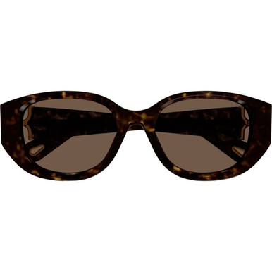 Chloe CH0237SK - Havana/Brown Lenses
