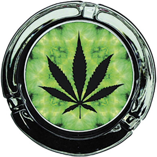 6ct. Asst. Led Light Leaf & Color Splash Design