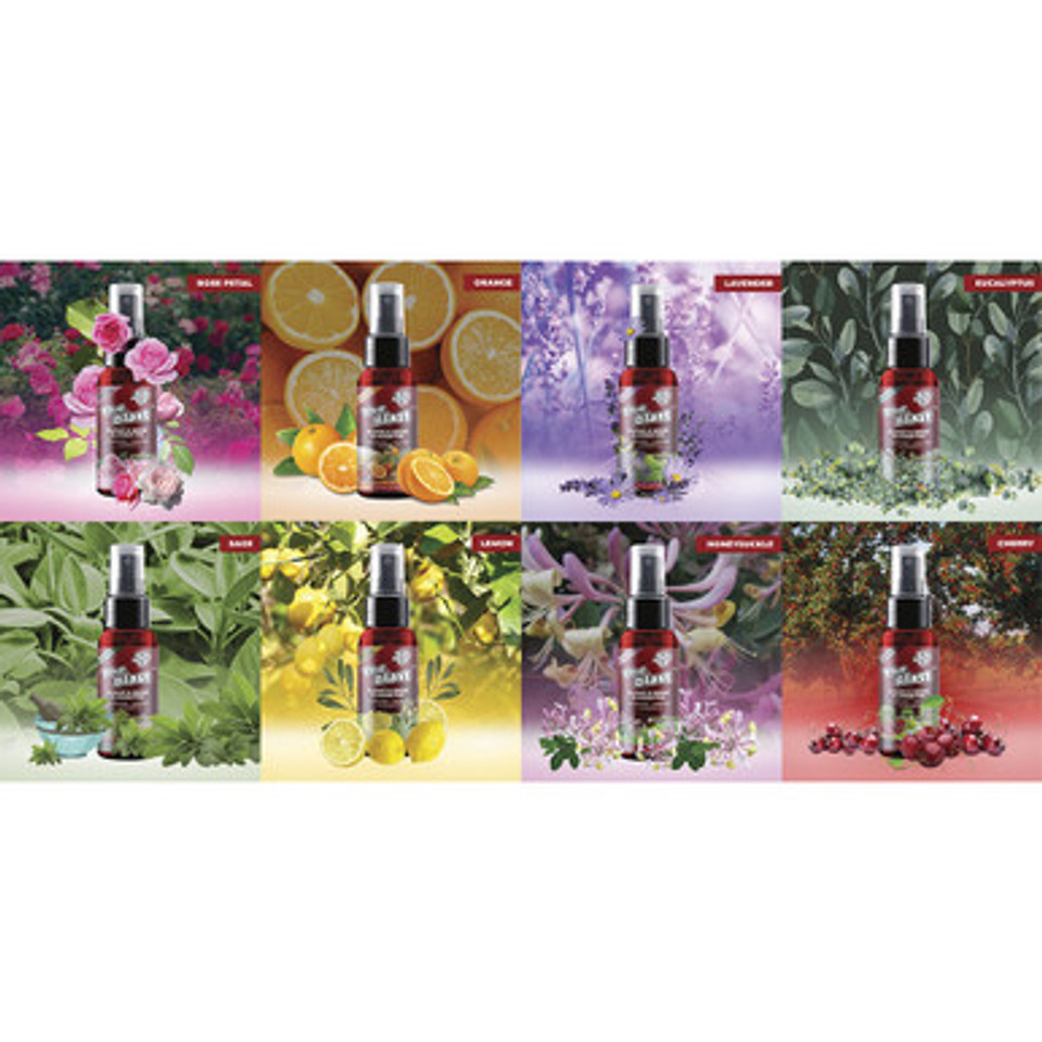 16ct The Blast Non Toxic Odor Eliminator - Flower Fruit
