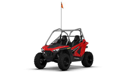RZR 200
