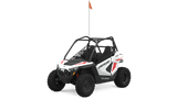 RZR 200