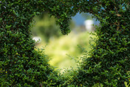 Workshop: May 19, 7PM - How to Make Passionate Love to Yourself (Even with a Partner!)