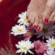 Ankles, Heels and Toes, Oh My!