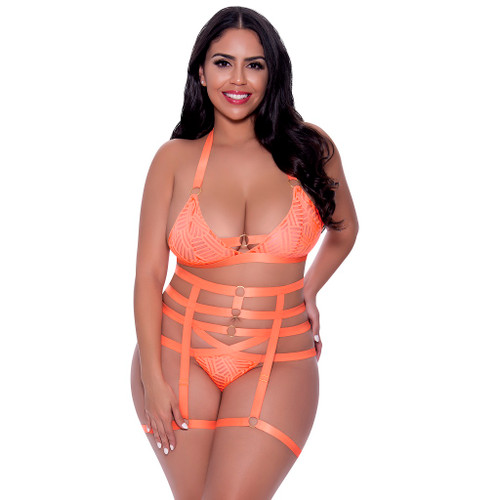 Exposed Bra & Strappy Garter Panty Set front queen