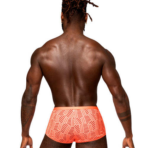 Male Power Cheeky Short back