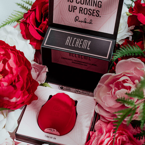 10 Function Alchemy Rosebud open box