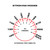 Maxtasy Stroke Master - Clear Insert Strokes per minute guide