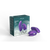 We-Vibe Chorus Pro - Cosmic Purple product and package