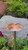 ENHANCER9-29 Area Light with 9" Round Hat (Natural Copper)