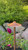 ENHANCER9-29 Area Light with 9" Round Hat (Natural Copper)