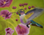Original oil painting, the hummingbird in flight, 16 x 20