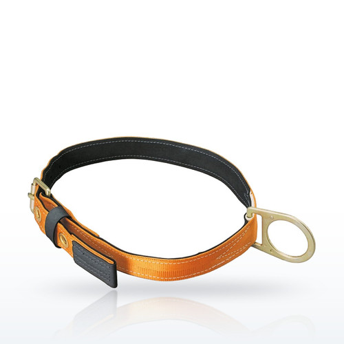 Single D-Ring Body Belt, T3010