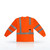 Radians ST21 Class 3 Long Sleeve T-Shirt with Max-Dri™