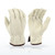 Radians RWG4127 Drivers Gloves, Value Grain Cowhide Leather Driver