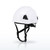 DEWALT DPG22 Type II Class E Safety Helmet