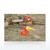 EAGLE® Safety Cans