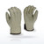 Radians RWG4225 Fleece Lined Standard Grain Cowhide Leather Driver