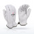 Radians RWG52 Cut Resistant Gloves, ANSI A5