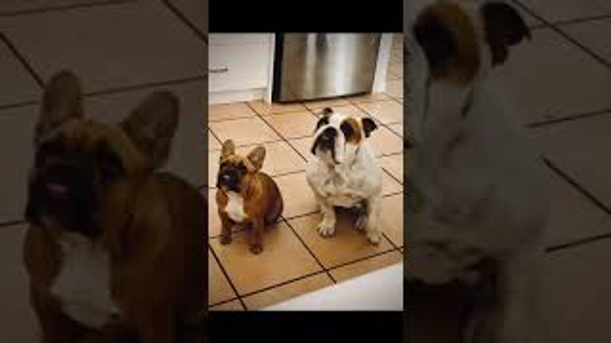 A Little Treat Goes Along Way!!!