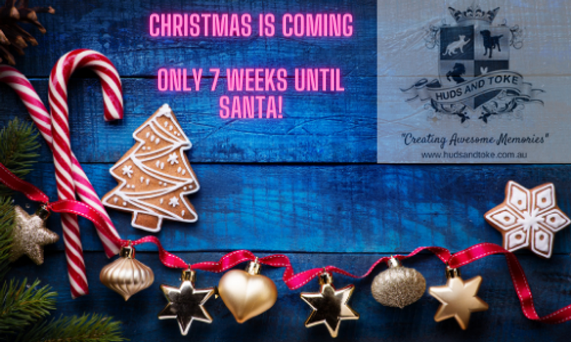 Christmas is Approaching Fast. Get your Pet Treat Orders in soon!