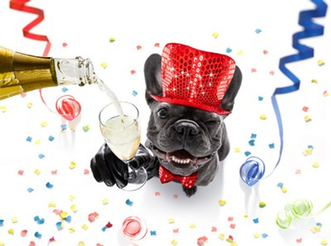 HUDS AND TOKE PET TREATS WISH YOU A HAPPY CHRISTMAS AND A WONDERFUL NEW YEAR FOR 2022