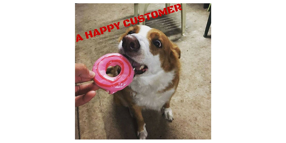 Doggie Doughnuts Pet Treats - Live Action!!!