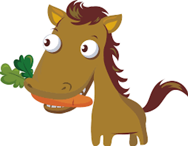 Signs Your Horse Might Need To See A Dentist!