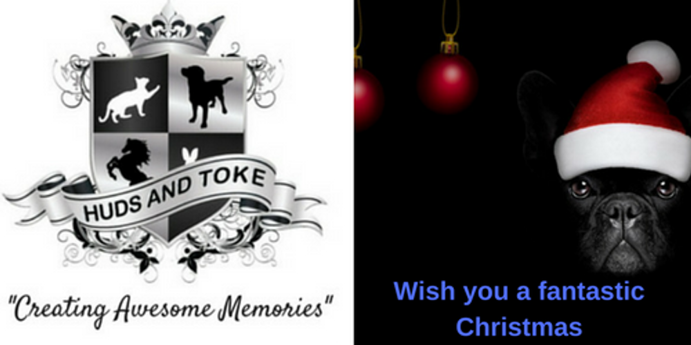 12 Days Of Christmas Pet Treat Give-Away!