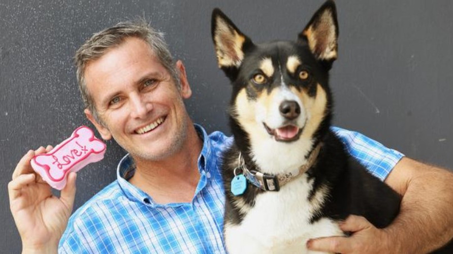 Why Shopping Direct with Huds and Toke Guarantees the Highest Quality Australian Pet Treats