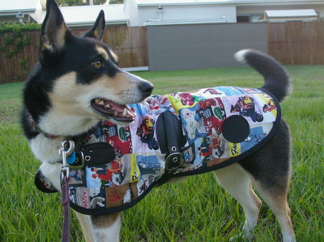 Winter is Coming...... Lets prepare our Dogs, and pets, for the Colder Months ahead! 